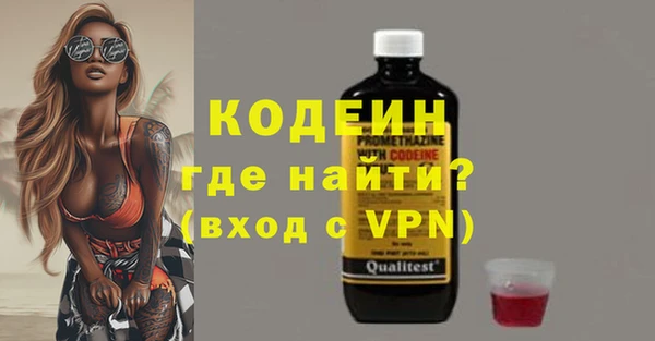индика Богданович