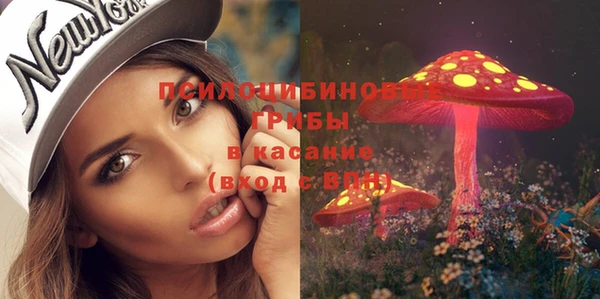 прущие крисы Беломорск