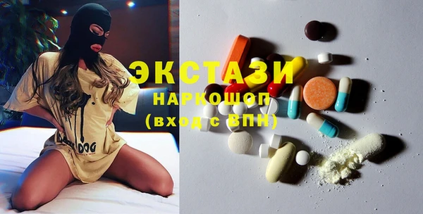 индика Богданович