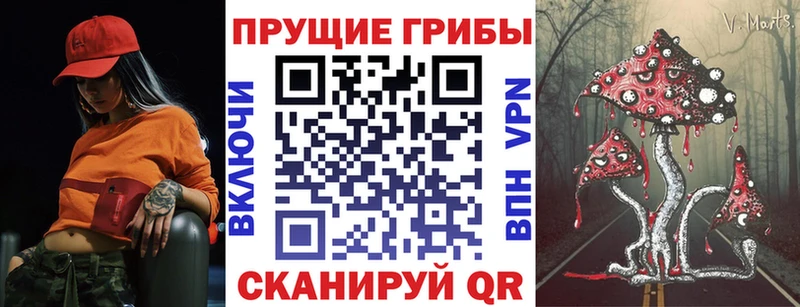 Купить  Салават  Галлюциногенные грибы ЛСД 